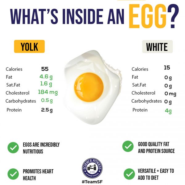 whats inside an egg 600x600