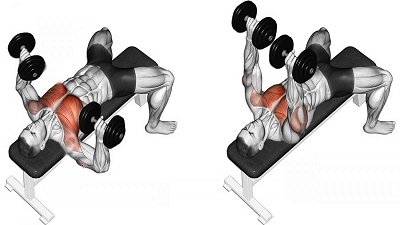 Dumbbell Bench Press Exercise 1200x675