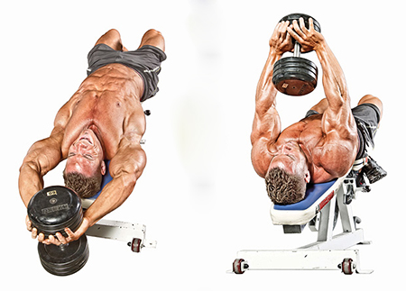 dumbbell pullover web