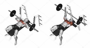 depositphotos 114062130 stock photo rod narrow grip bench press