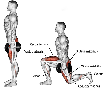 Dumbbell Rear Lungeweb
