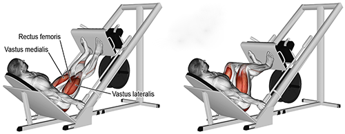 Sled 45 degree Leg Pressweb