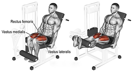 lever leg extension web
