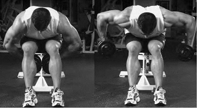 bent arm bent over dumbbell row 22