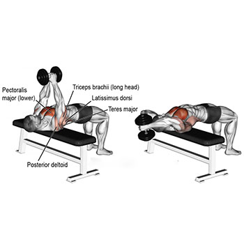 Dumbbell Pullover edited 990x494